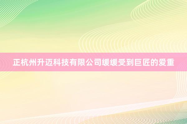 正杭州升迈科技有限公司缓缓受到巨匠的爱重